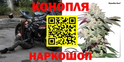 крисы Обь