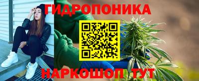 крисы Обь